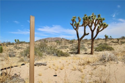 Land, Landers, CA