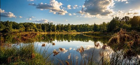 Wooded Recreation Land