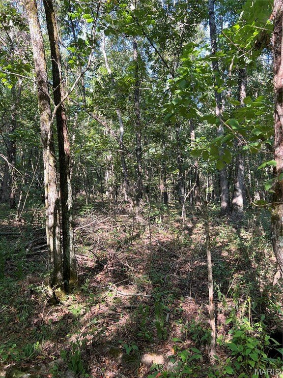 Picture 10