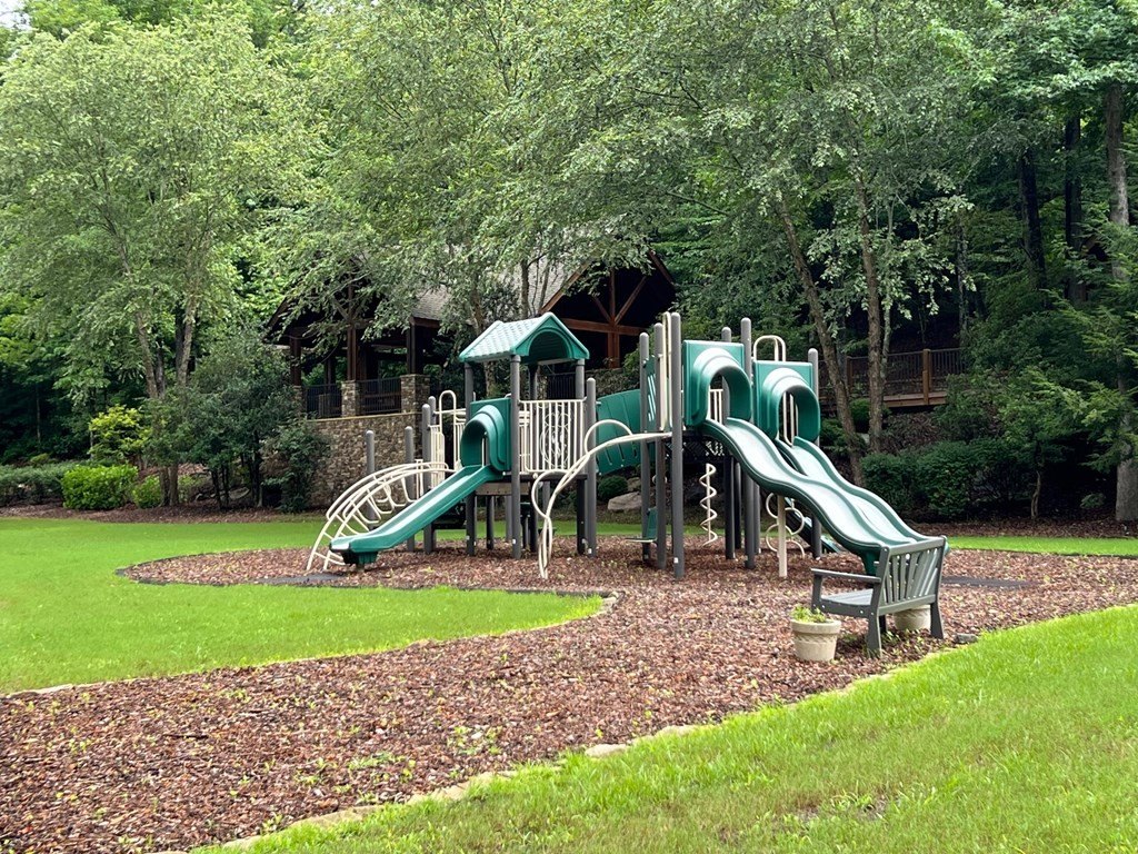 Picture 7
