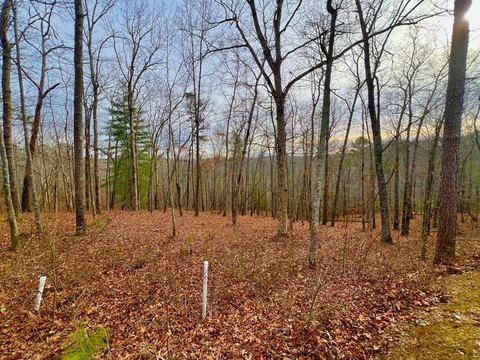 Residential Lot Near Carters Lake
