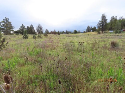 LAND - Montague, CA