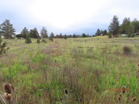 Land, Montague, CA