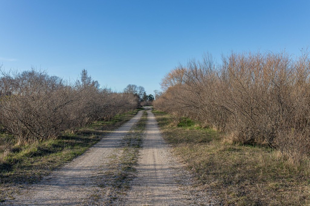 Picture 27