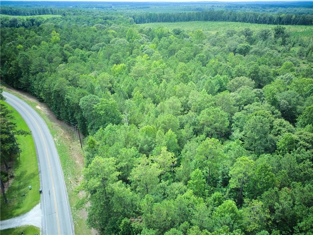 Picture 3