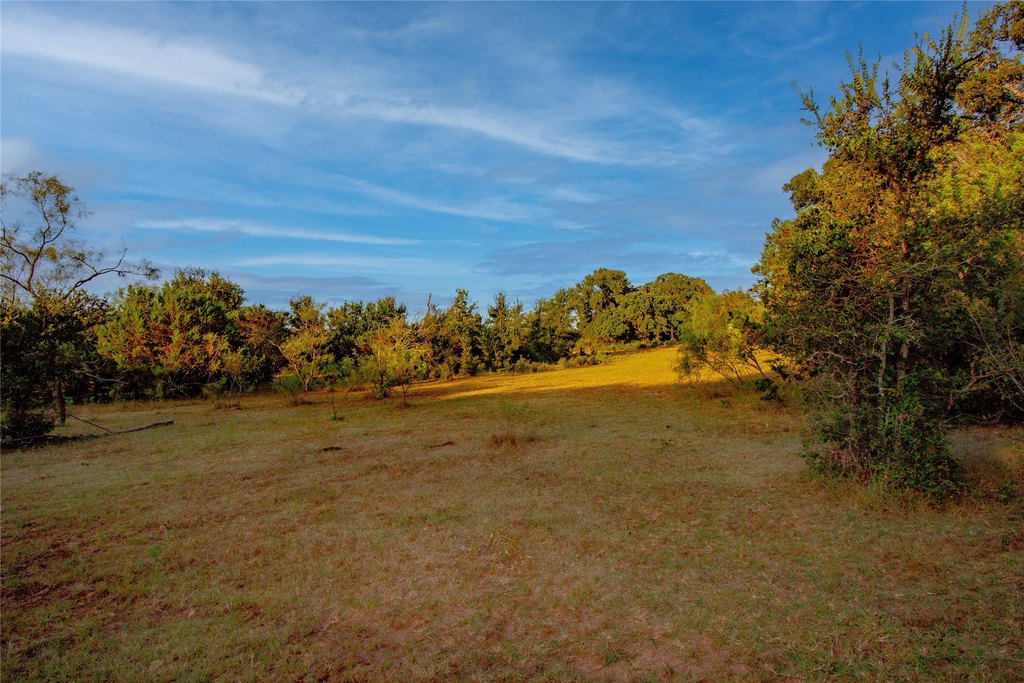 Picture 16