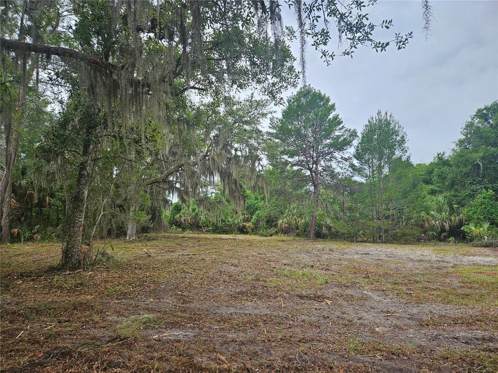 Picture 5