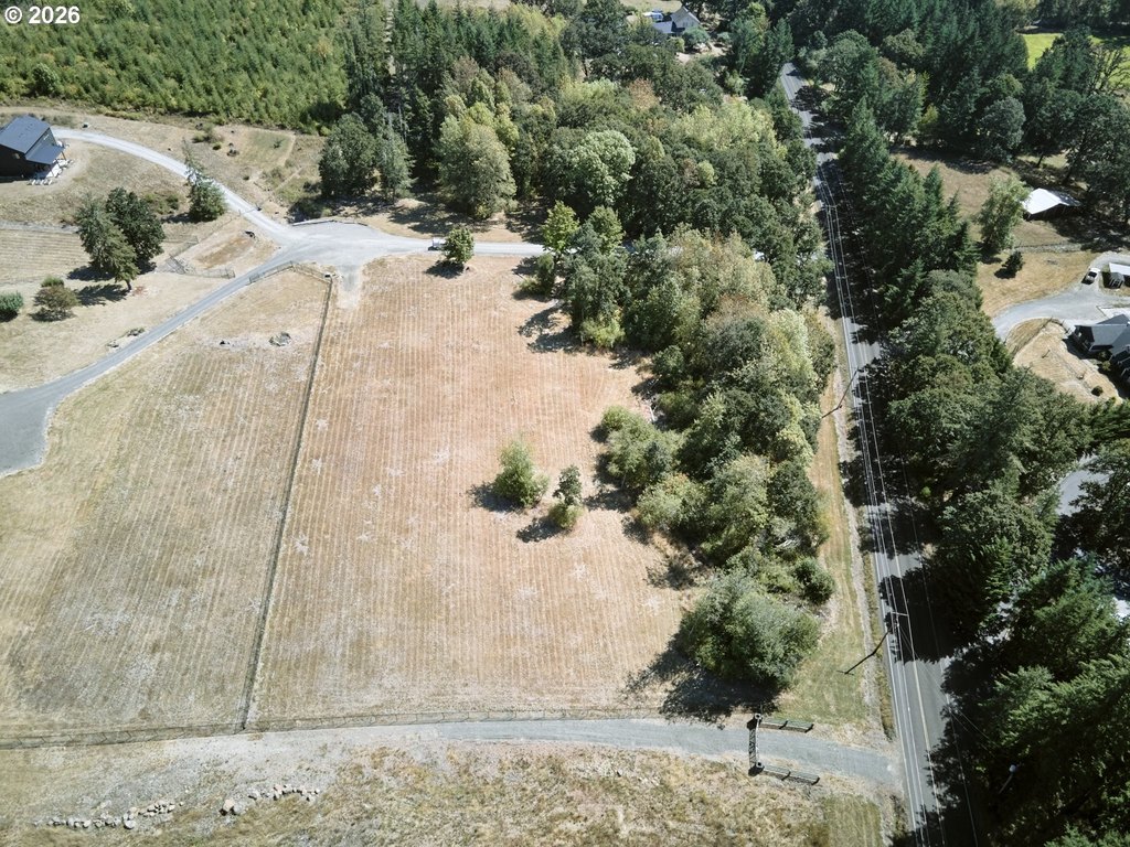 Picture 11