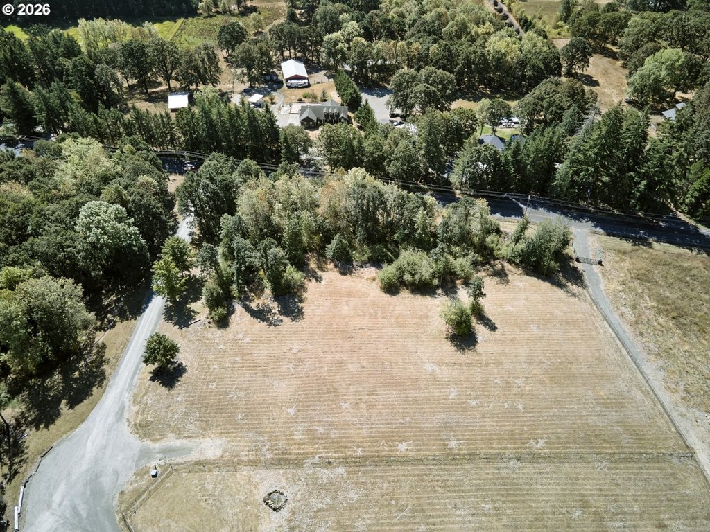 Picture 13