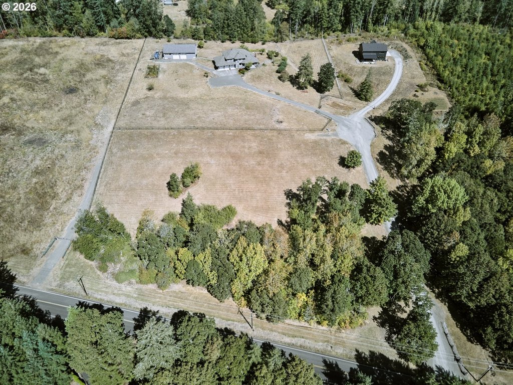 Picture 15