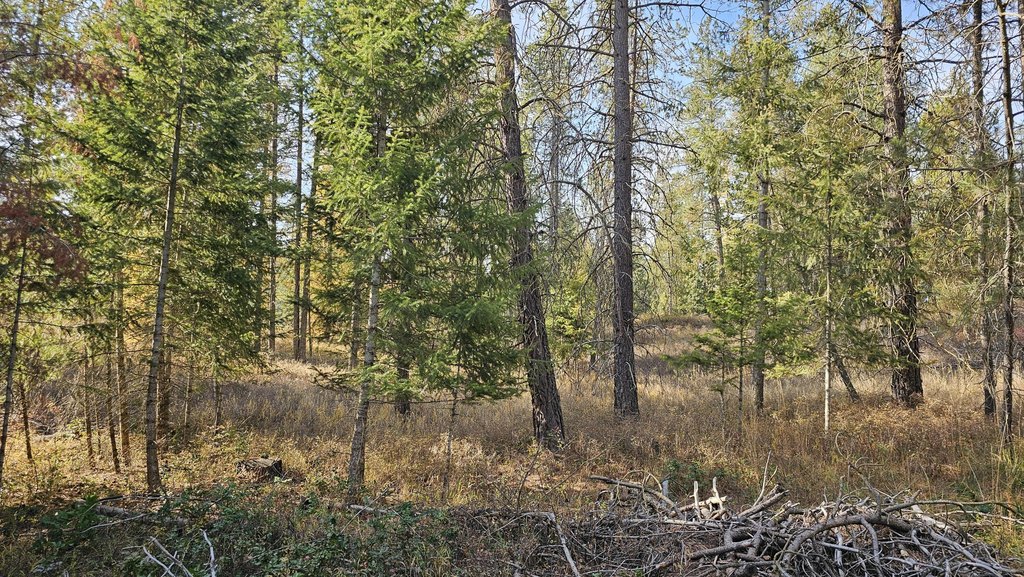Picture 24