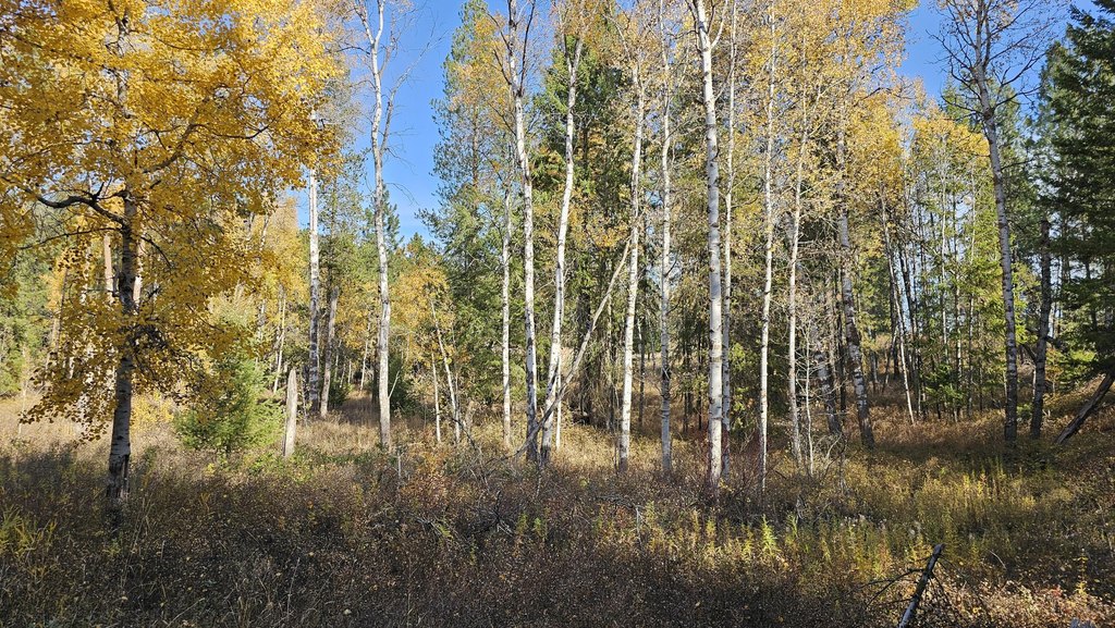 Picture 35