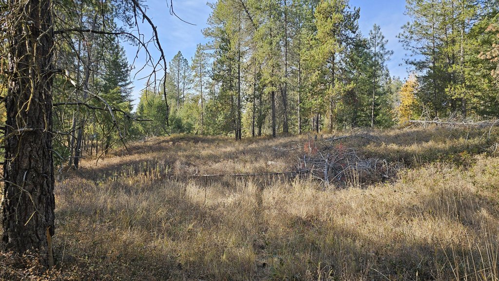 Picture 25