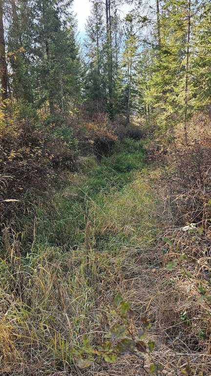 Picture 34