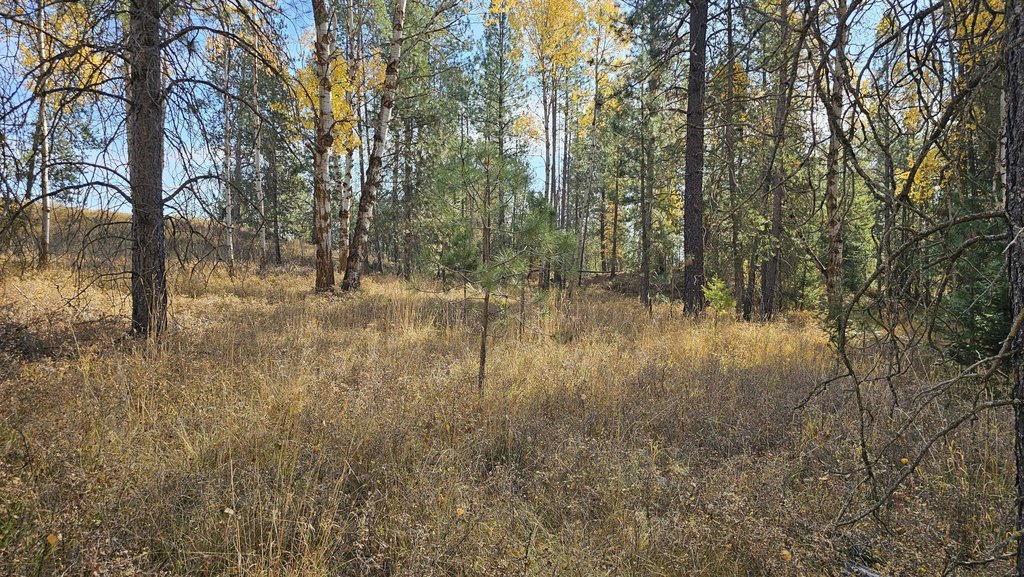 Picture 46