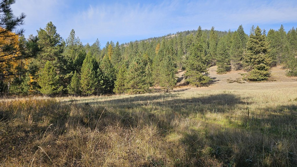 Picture 47