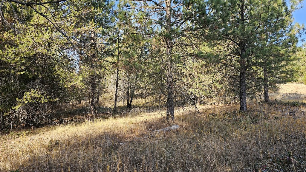 Picture 23