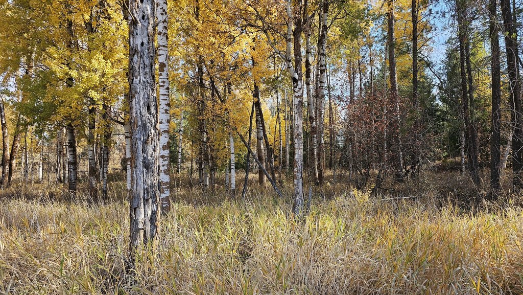 Picture 42