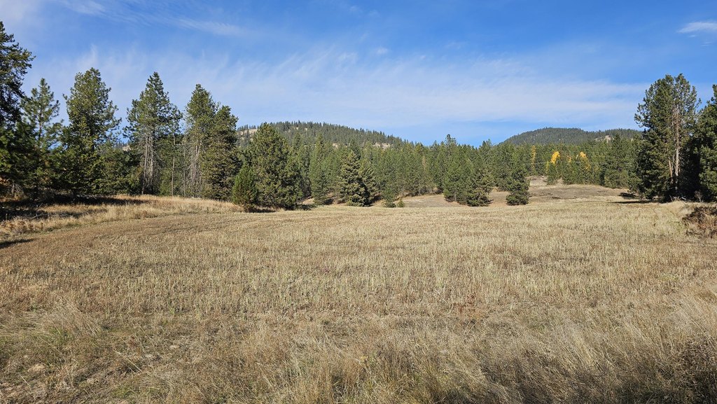 Picture 51