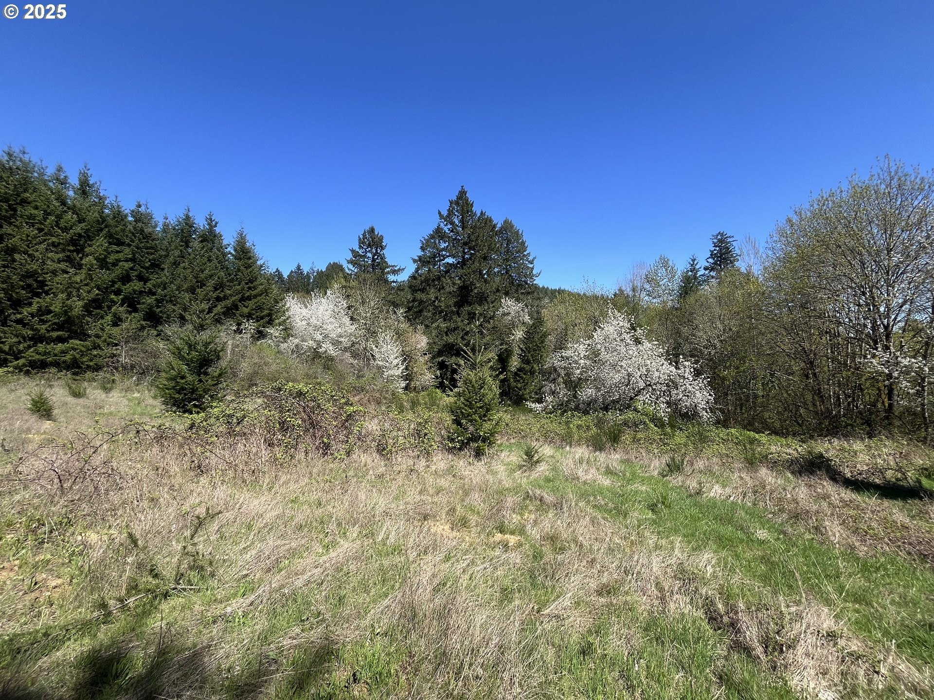 Land Near Forest Grove Amenities