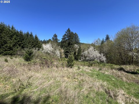 Residential Land in Forest Grove