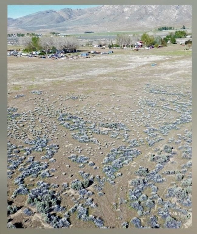 Picture 31