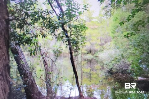 Riverfront Land Parcel