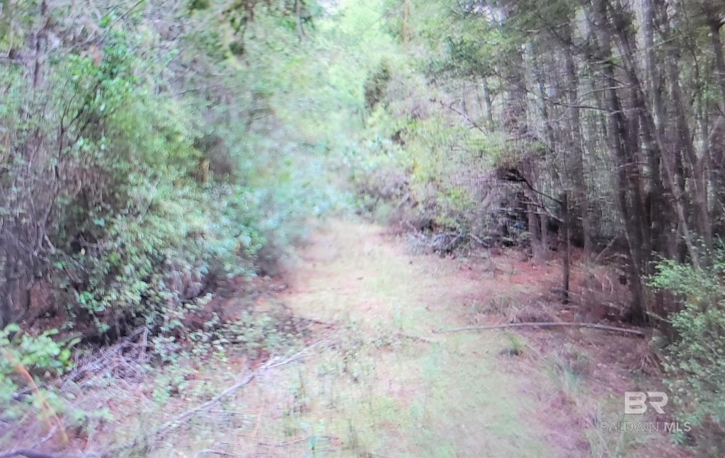 Picture 18