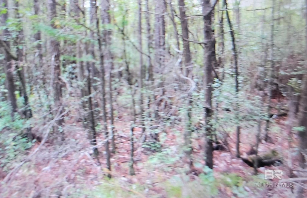 Picture 14