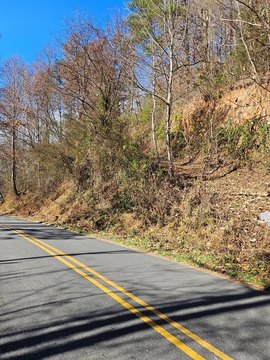 Unrestricted Wooded Land in Cullowhee