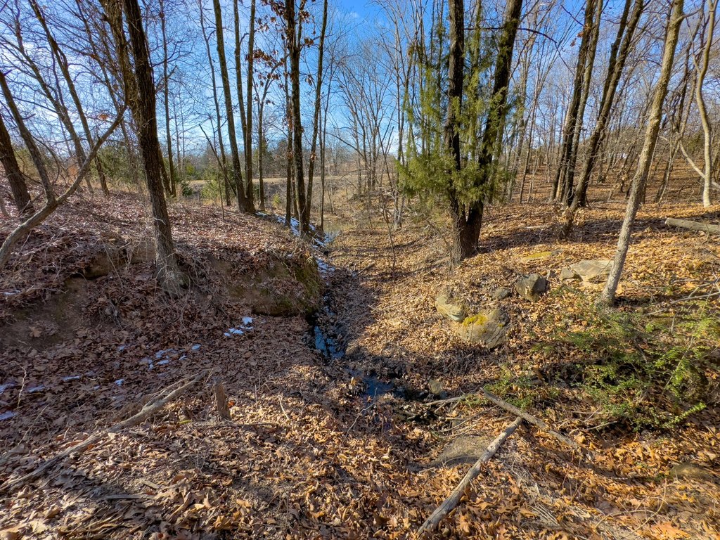 Picture 15
