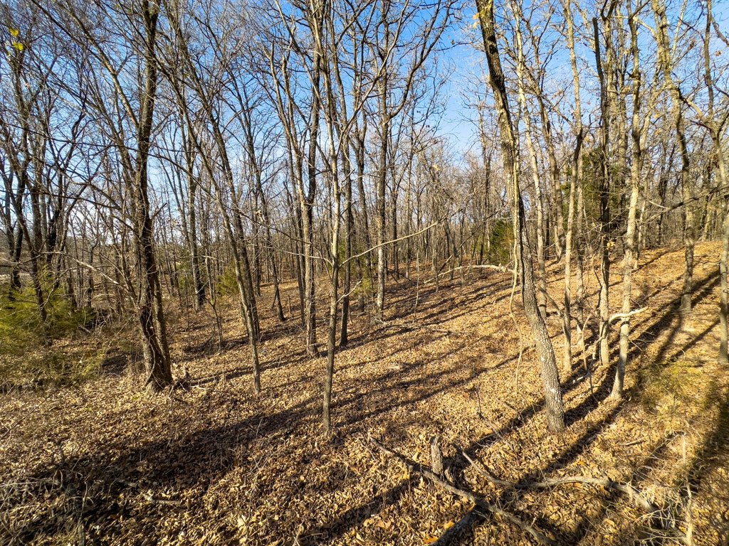 Picture 13