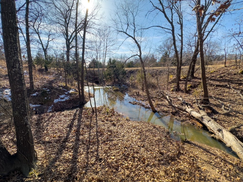 Picture 16