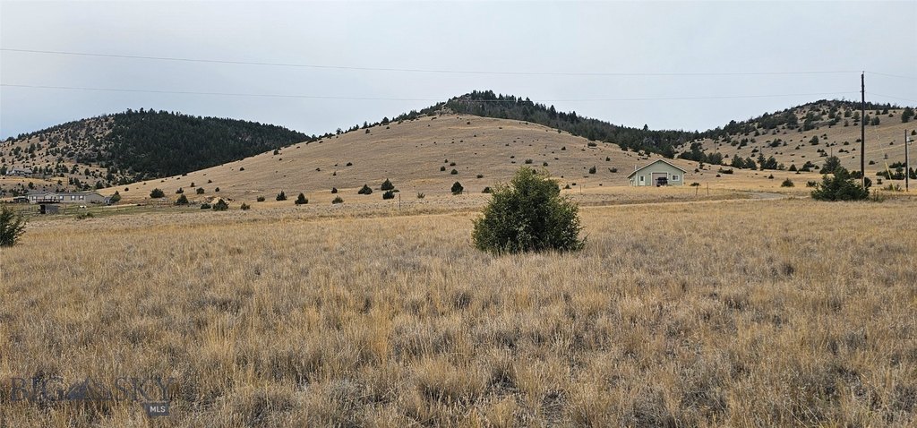 Picture 7