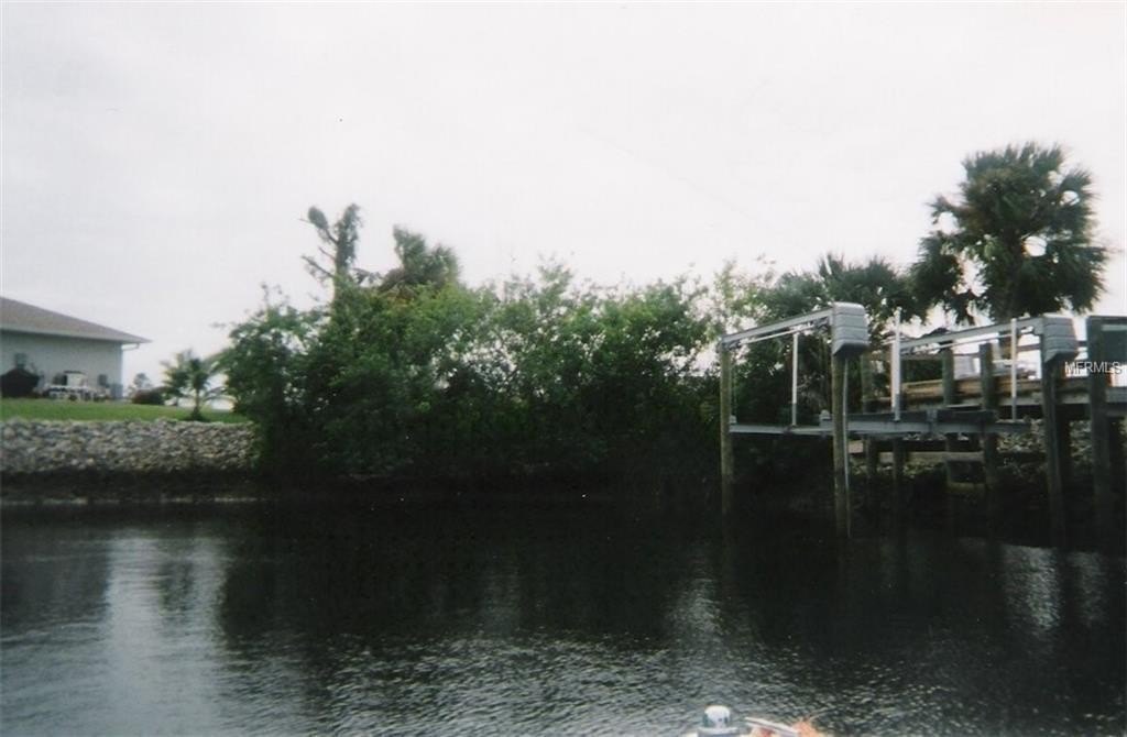 Picture 5