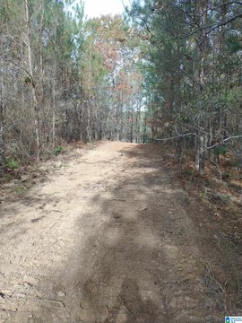LAND - ALPINE, AL