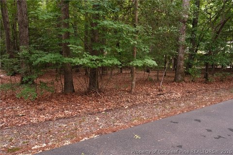 LAND - Sanford, NC
