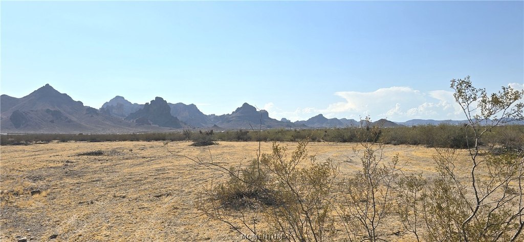 Picture 6