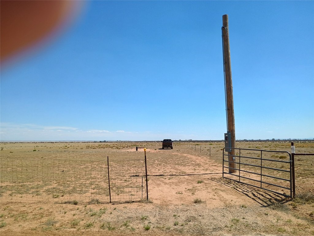 Picture 6