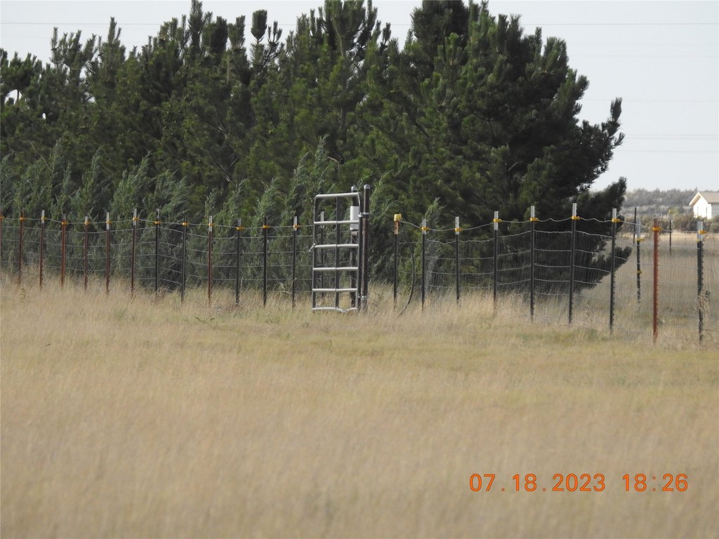 Picture 13