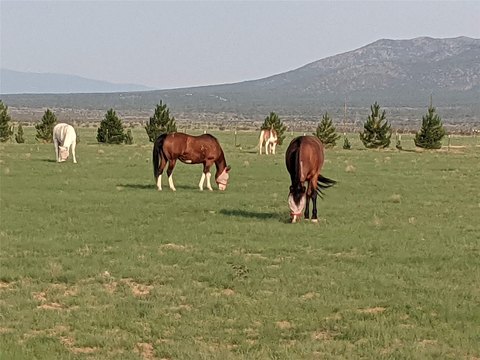 Land, Stanley, NM