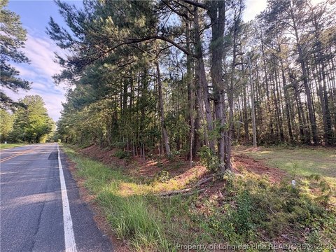 LAND - Sanford, NC