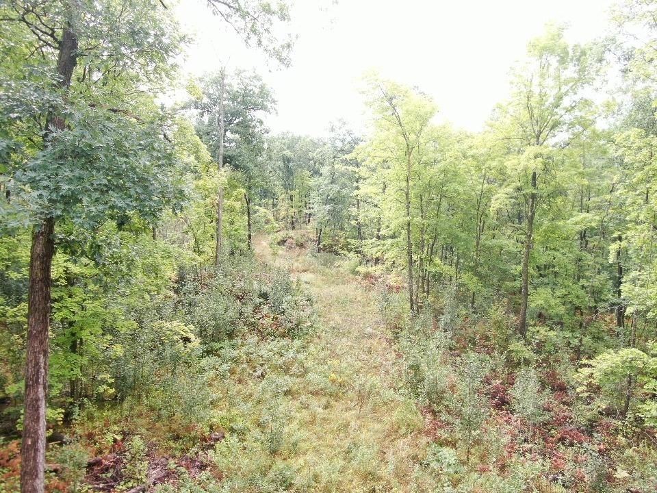Picture 6