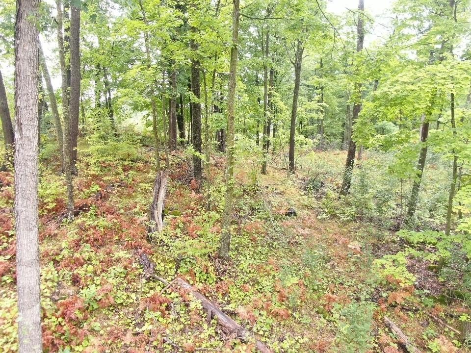 Picture 5
