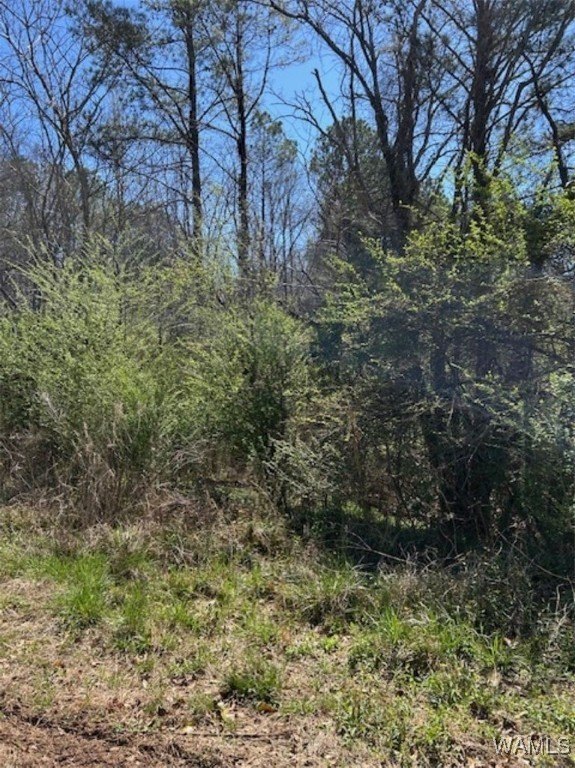 Land in Growing McCalla Area