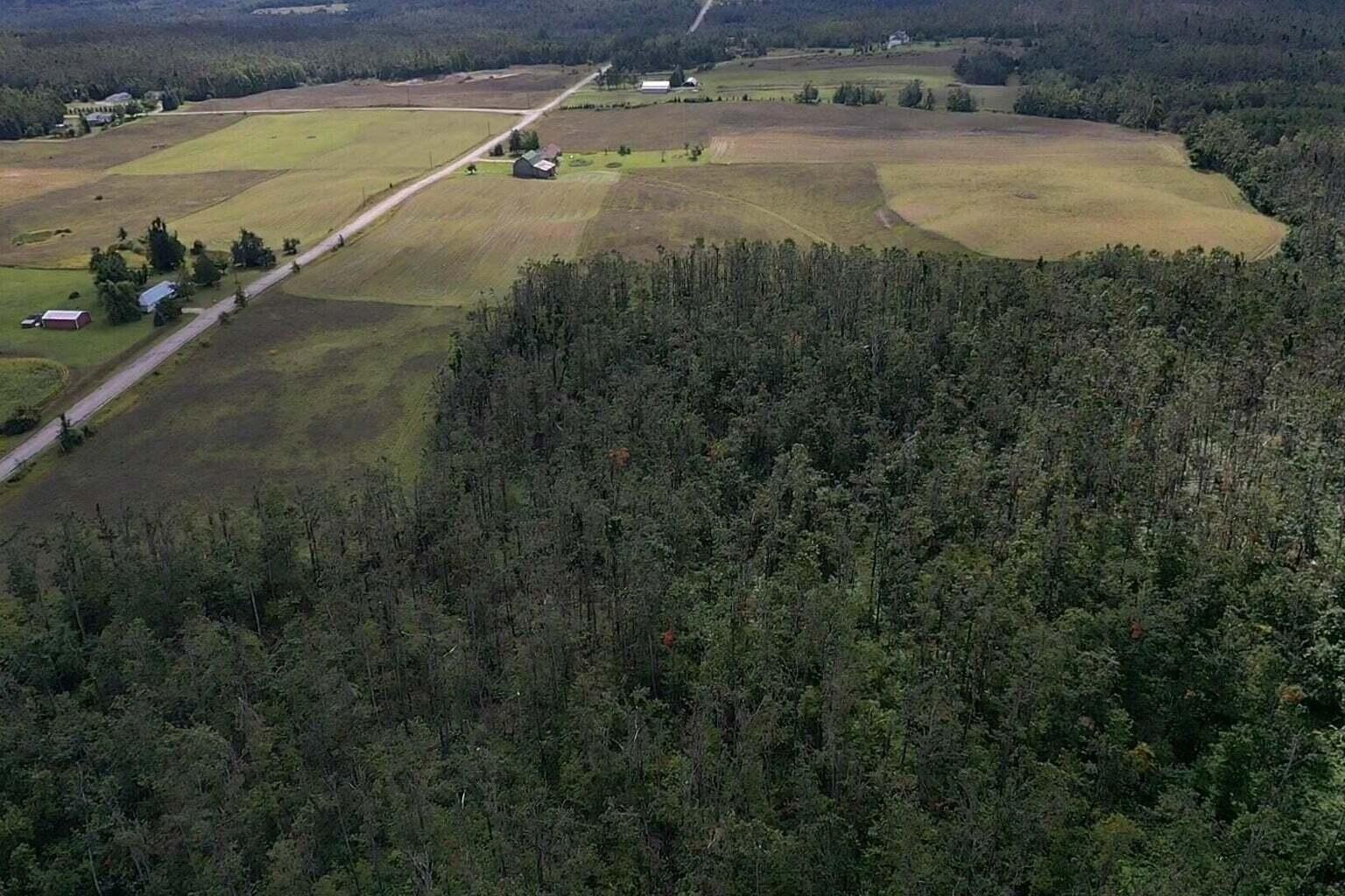 39.2 Acres in Gaylord, MI