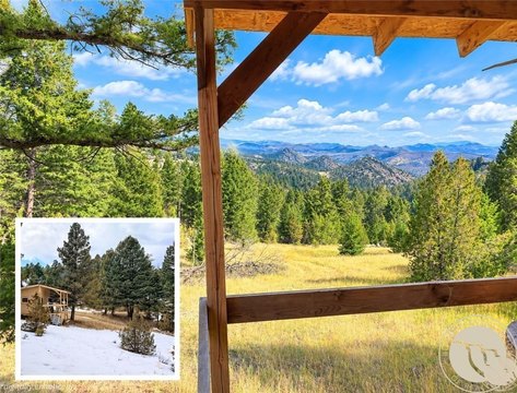 Hunting Land with Dry Cabin