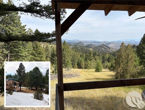 Hunting Land with Dry Cabin