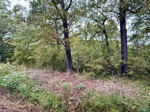 Land, Gadsden, AL