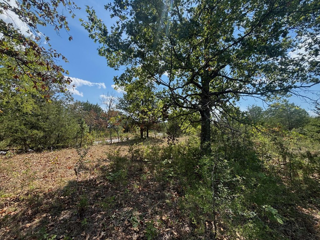 Picture 21